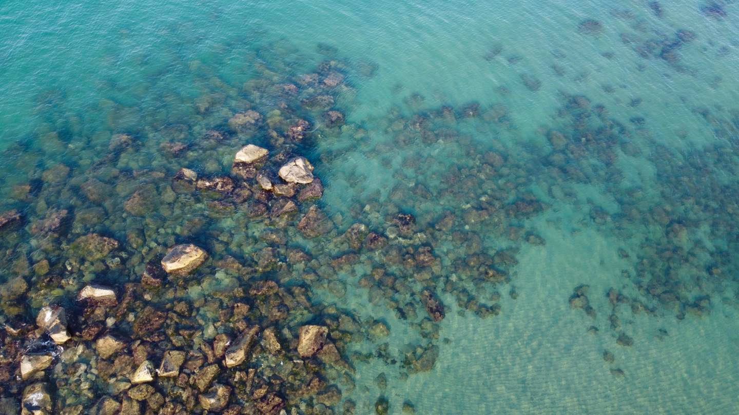 Il mare di Ostia  in salute